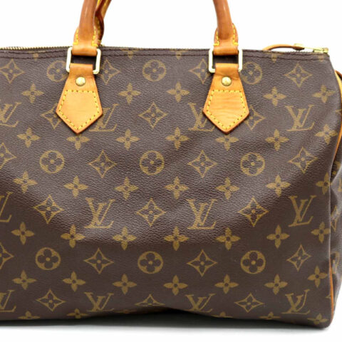 Louis Vuitton Speedy 30 Monogram